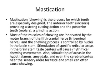 Mastication Process Gastrointestinal system | PPTX