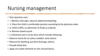 Nursing management
• Post-operative care:
• i. Monitor vital signs, observe abdominal bleeding.
• ii. Place the child in comfortable position according to the physician order.
• iii. Child is NPO, so administer IV fluids as ordered.
• iv. Monitor bowel sound.
• v. Colostomy care is to be done which includes following:
• Observe stoma for its colour (reddish- pink colour)
• Observe for bleeding, purulent drainage, edema.
• Provide bland diet.
• apply zinc oxide ointment on skin around stoma.
 