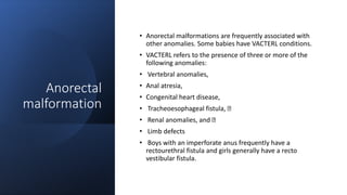 Anorectal
malformation
• Anorectal malformations are frequently associated with
other anomalies. Some babies have VACTERL conditions.
• VACTERL refers to the presence of three or more of the
following anomalies:
• Vertebral anomalies,
• Anal atresia,
• Congenital heart disease,
• Tracheoesophageal fistula,
• Renal anomalies, and
• Limb defects
• Boys with an imperforate anus frequently have a
rectourethral fistula and girls generally have a recto
vestibular fistula.
 