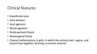 Clinical features
• Imperforate anus
• Anal stenosis
• Anal agenesis
• Rectal agenesis
• Recto perineal fistula
• Rectovaginal fistula
• Cloacal malformations in girls, in which the urinary tract, vagina, and
rectum fuse together, forming a common channel
 