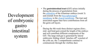 Development
of embryonic
gastro
intestinal
system
• The gastrointestinal tract (GIT) arises initially
during the process of gastrulation from
the endoderm of the trilaminar embryo (week 3)
and extends from the buccopharyngeal
membrane to the cloacal membrane. The tract and
associated organs later have contributions from all
the germ cell layers.
•
During the 4th week three distinct regions (fore-,
mid- and hind-gut) extend the length of the embryo
and will contribute different components of the
GIT. The large mid-gut is generated by lateral
embryonic folding which "pinches off" a pocket of
the yolk sac, the 2 compartments continue to
communicate through the vitelline duct.
 