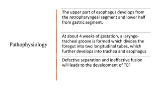 Pathophysiology
The upper part of esophagus develops from
the retropharyngeal segment and lower half
from gastric segment.
At about 4 weeks of gestation, a laryngo-
tracheal groove is formed which divides the
foregut into two longitudinal tubes, which
further develops into trachea and esophagus
Defective separation and ineffective fusion
will leads to the development of TEF
 