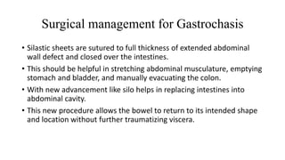 Surgical management for Gastrochasis
• Silastic sheets are sutured to full thickness of extended abdominal
wall defect and closed over the intestines.
• This should be helpful in stretching abdominal musculature, emptying
stomach and bladder, and manually evacuating the colon.
• With new advancement like silo helps in replacing intestines into
abdominal cavity.
• This new procedure allows the bowel to return to its intended shape
and location without further traumatizing viscera.
 