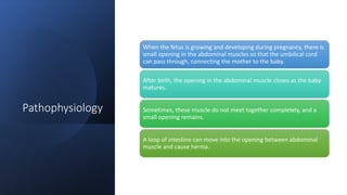 Pathophysiology
When the fetus is growing and developing during pregnancy, there is
small opening in the abdominal muscles so that the umbilical cord
can pass through, connecting the mother to the baby.
After birth, the opening in the abdominal muscle closes as the baby
matures.
Sometimes, these muscle do not meet together completely, and a
small opening remains.
A loop of intestine can move into the opening between abdominal
muscle and cause hernia.
 