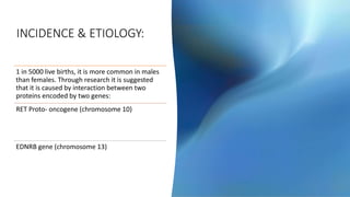 INCIDENCE & ETIOLOGY:
1 in 5000 live births, it is more common in males
than females. Through research it is suggested
that it is caused by interaction between two
proteins encoded by two genes:
RET Proto- oncogene (chromosome 10)
EDNRB gene (chromosome 13)
 