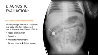 DIAGNOSTIC
EVALUATION:
Hirschsprung’s disease is suspected
in a baby who has not passed
meconium within 48 hours of birth.
• Rectal examination
• Palpation
• Anorectal manometry
• Barium enema & Rectal biopsy
 