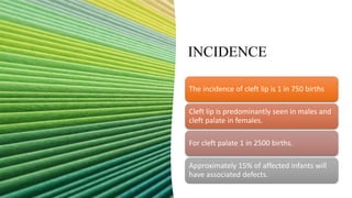 INCIDENCE
The incidence of cleft lip is 1 in 750 births
Cleft lip is predominantly seen in males and
cleft palate in females.
For cleft palate 1 in 2500 births.
Approximately 15% of affected infants will
have associated defects.
 
