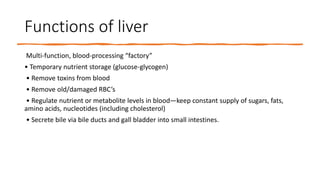 Functions of liver
Multi-function, blood-processing “factory”
• Temporary nutrient storage (glucose-glycogen)
• Remove toxins from blood
• Remove old/damaged RBC’s
• Regulate nutrient or metabolite levels in blood—keep constant supply of sugars, fats,
amino acids, nucleotides (including cholesterol)
• Secrete bile via bile ducts and gall bladder into small intestines.
 