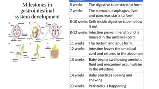 Milestones in
gastrointestinal
system development
Weeks pregnant Milestone
5 weeks The digestive tube starts to form
7 weeks The stomach, esophagus, liver
and pancreas starts to form
8-10 weeks Cells inside digestive tube hollow
it out
8-12 weeks Intestine grows in length and is
housed in the umbilical cord.
11 weeks The rectum and anus form
12 weeks Intestine leaves the umbilical
cord and returns to the abdomen
13 weeks Baby begins swallowing amniotic
fluid and meconium accumulates
in the intestine.
14 weeks Baby practices sucking and
chewing
23 weeks Peristalsis is happening.
 