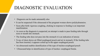DIAGNOSTIC EVALUATION
• Diagnosis can be made antenatally also
• It can be suspected if the ultrasound of the pregnant women shows polyhydramnios.
• Soon after birth vigorous coughing, choking in response to feeding is an important
manifestation
• As soon as the diagnosis is suspected, an attempt is made to pass feeding tube through
nose or mouth into stomach.
• The feeding tube does not pass into the stomach it is an indication of atresia
• X-ray of chest shows air filled esophageal pouch and air in stomach. If the feeding tube
has been inserted, it appears coiled up in the upper esophageal pouch.
• An ultrasound enables identification of the type of tracheo-esophageal pouch
• Ultrasound helps in identification of type of tracheo- esophageal fistula.
 