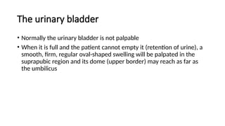 The urinary bladder
• Normally the urinary bladder is not palpable
• When it is full and the patient cannot empty it (retention of urine), a
smooth, firm, regular oval-shaped swelling will be palpated in the
suprapubic region and its dome (upper border) may reach as far as
the umbilicus
 