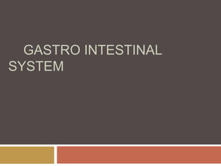 GASTRO INTESTINAL
SYSTEM
 