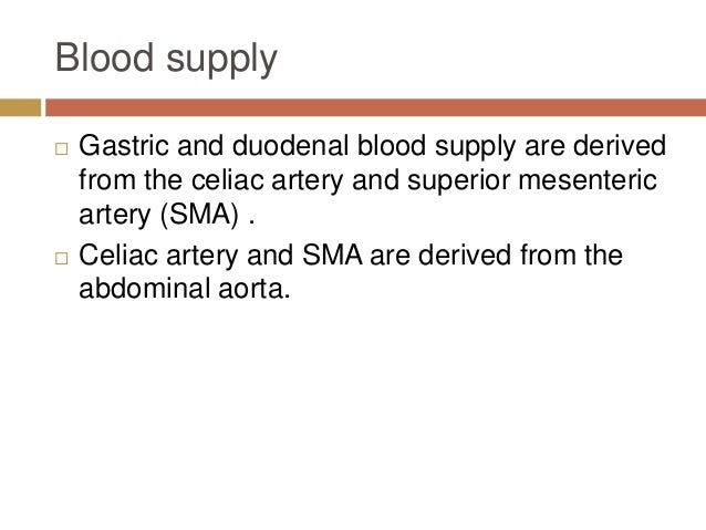 supply west m branch Gastro system anatomy intestinal supply west m branch Gastro system anatomy intestinal