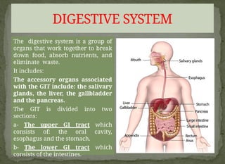 GASTRO INTESTINAL SYSTEM OVERVIEW .pptx