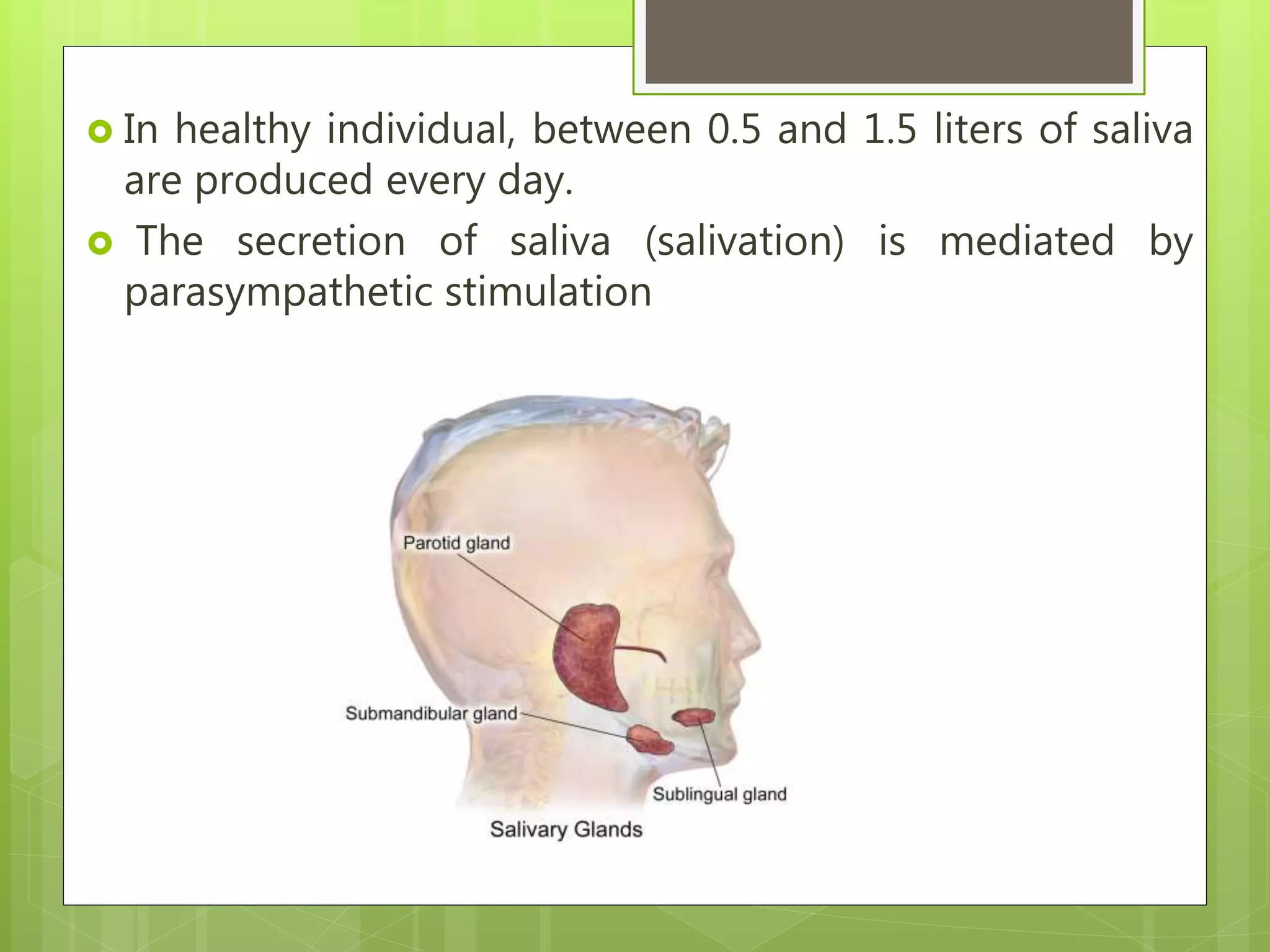  In healthy individual, between 0.5 and 1.5 liters of saliva
are produced every day.
 The secretion of saliva (salivation) is mediated by
parasympathetic stimulation
 