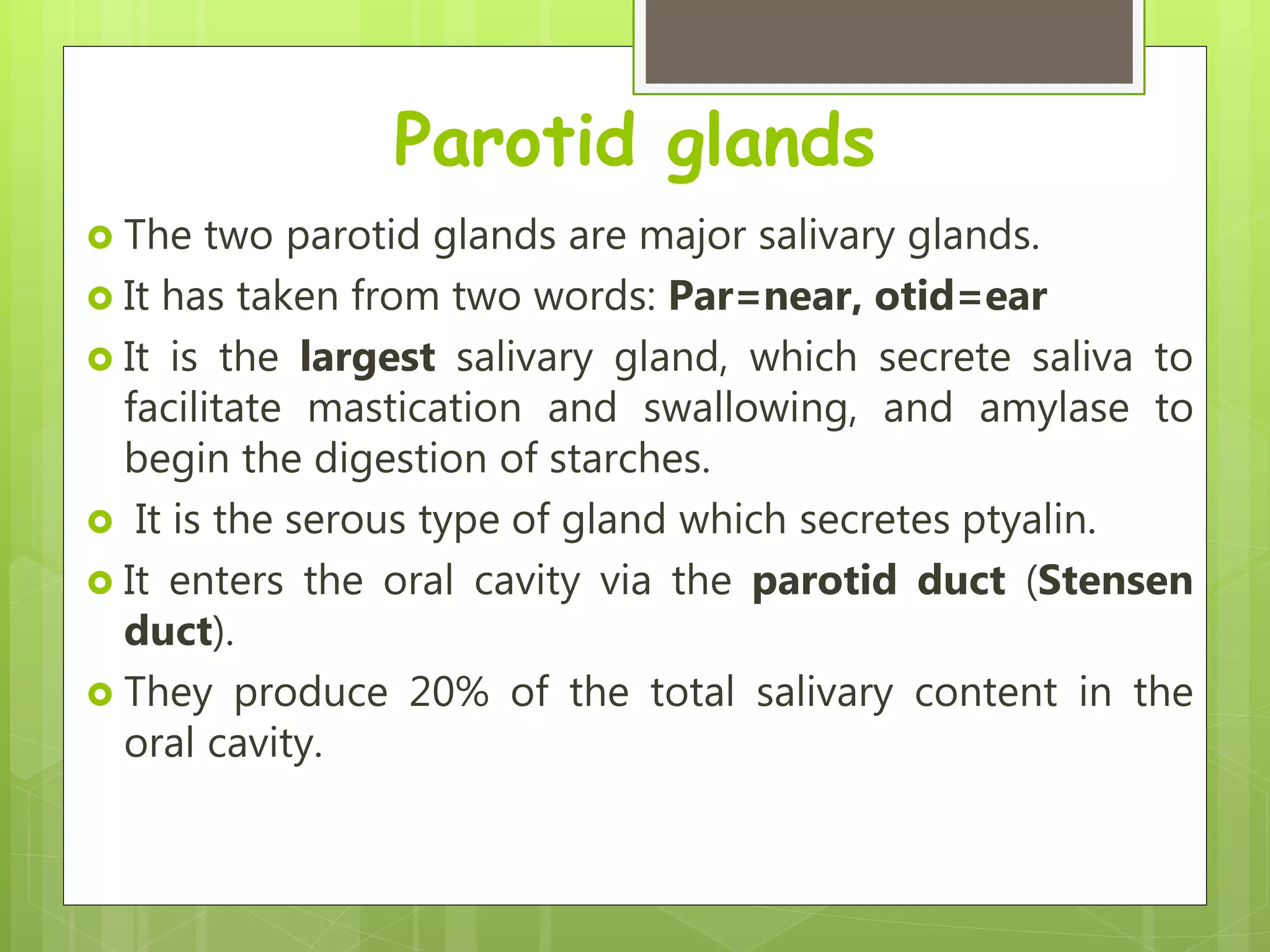 Parotid glands
 The two parotid glands are major salivary glands.
 It has taken from two words: Par=near, otid=ear
 It is the largest salivary gland, which secrete saliva to
facilitate mastication and swallowing, and amylase to
begin the digestion of starches.
 It is the serous type of gland which secretes ptyalin.
 It enters the oral cavity via the parotid duct (Stensen
duct).
 They produce 20% of the total salivary content in the
oral cavity.
 