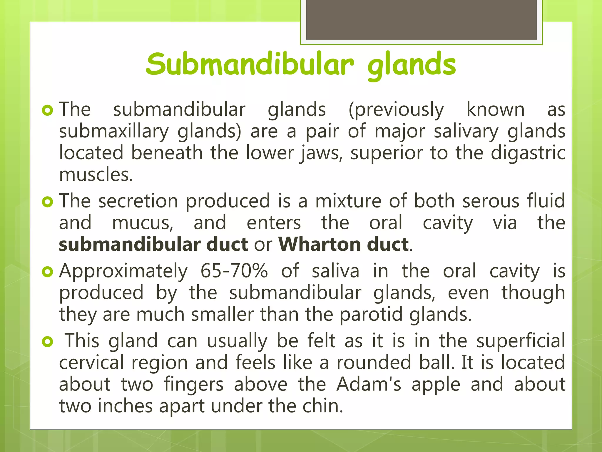 Submandibular glands
 The submandibular glands (previously known as
submaxillary glands) are a pair of major salivary glands
located beneath the lower jaws, superior to the digastric
muscles.
 The secretion produced is a mixture of both serous fluid
and mucus, and enters the oral cavity via the
submandibular duct or Wharton duct.
 Approximately 65-70% of saliva in the oral cavity is
produced by the submandibular glands, even though
they are much smaller than the parotid glands.
 This gland can usually be felt as it is in the superficial
cervical region and feels like a rounded ball. It is located
about two fingers above the Adam's apple and about
two inches apart under the chin.
 