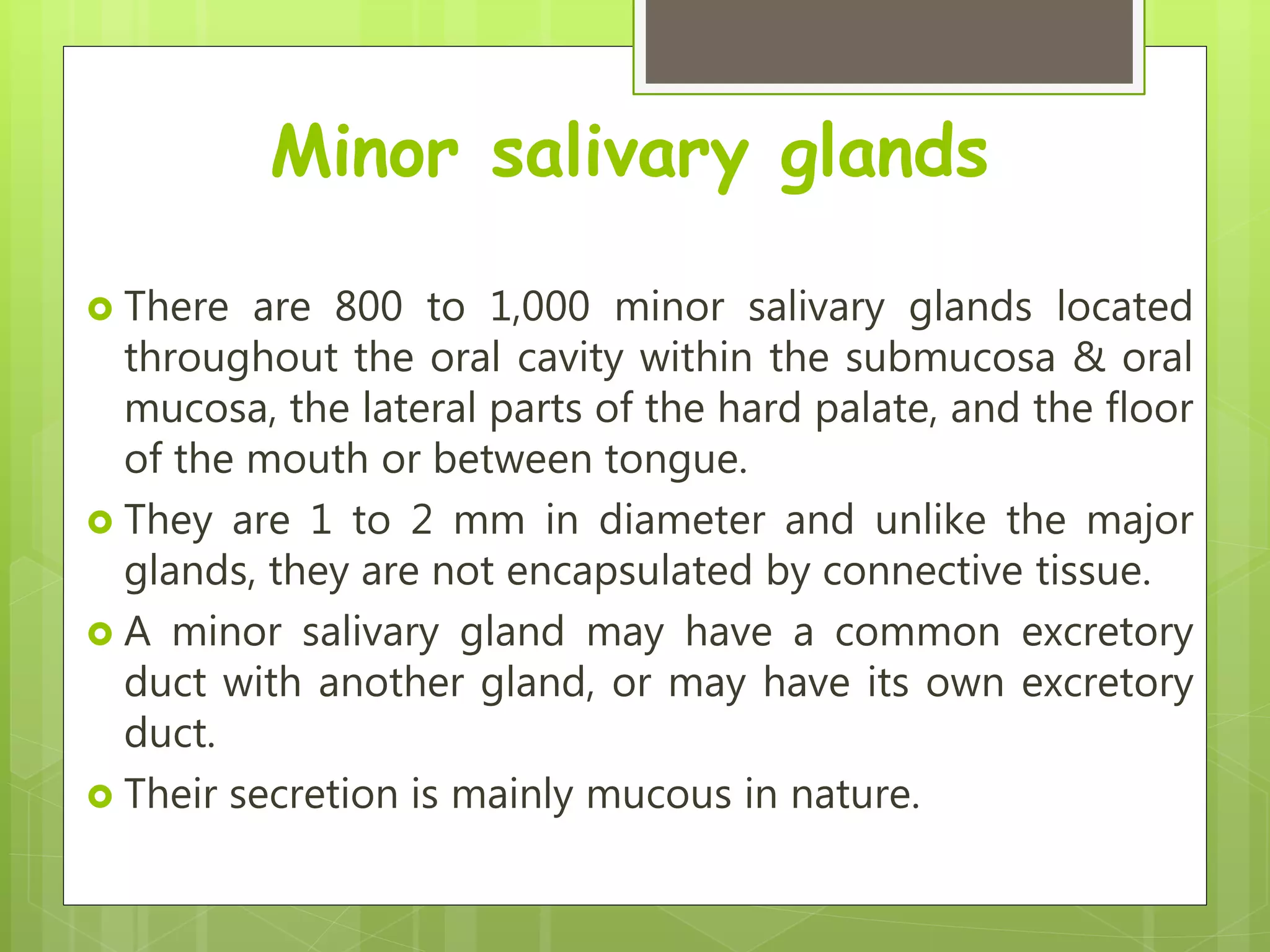 Minor salivary glands
 There are 800 to 1,000 minor salivary glands located
throughout the oral cavity within the submucosa & oral
mucosa, the lateral parts of the hard palate, and the floor
of the mouth or between tongue.
 They are 1 to 2 mm in diameter and unlike the major
glands, they are not encapsulated by connective tissue.
 A minor salivary gland may have a common excretory
duct with another gland, or may have its own excretory
duct.
 Their secretion is mainly mucous in nature.
 