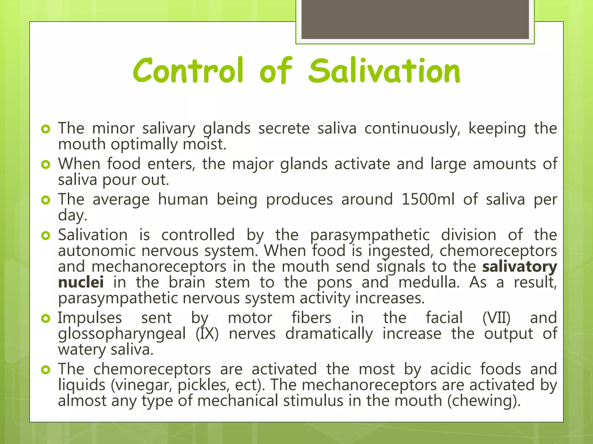 Control of Salivation
 The minor salivary glands secrete saliva continuously, keeping the
mouth optimally moist.
 When food enters, the major glands activate and large amounts of
saliva pour out.
 The average human being produces around 1500ml of saliva per
day.
 Salivation is controlled by the parasympathetic division of the
autonomic nervous system. When food is ingested, chemoreceptors
and mechanoreceptors in the mouth send signals to the salivatory
nuclei in the brain stem to the pons and medulla. As a result,
parasympathetic nervous system activity increases.
 Impulses sent by motor fibers in the facial (VII) and
glossopharyngeal (IX) nerves dramatically increase the output of
watery saliva.
 The chemoreceptors are activated the most by acidic foods and
liquids (vinegar, pickles, ect). The mechanoreceptors are activated by
almost any type of mechanical stimulus in the mouth (chewing).
 