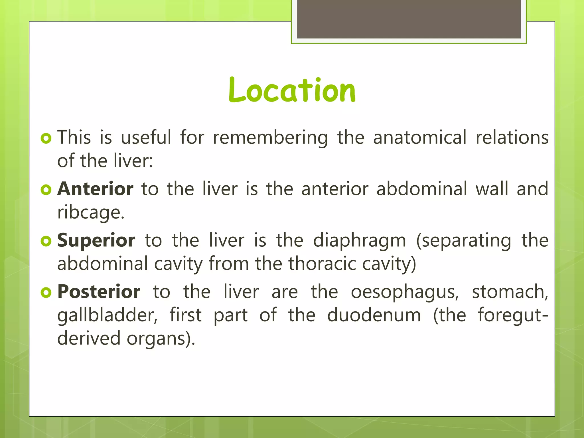 Location
 This is useful for remembering the anatomical relations
of the liver:
 Anterior to the liver is the anterior abdominal wall and
ribcage.
 Superior to the liver is the diaphragm (separating the
abdominal cavity from the thoracic cavity)
 Posterior to the liver are the oesophagus, stomach,
gallbladder, first part of the duodenum (the foregut-
derived organs).
 