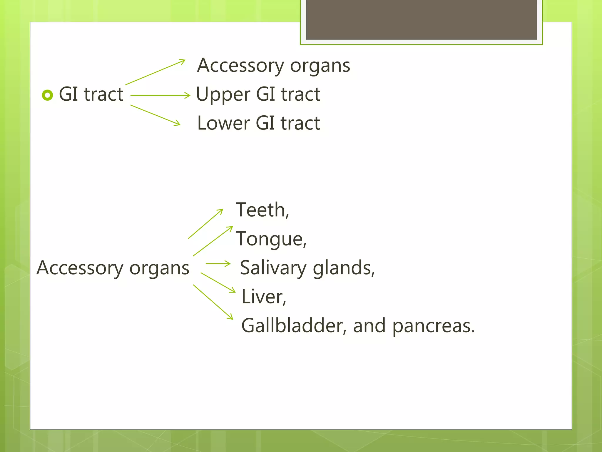 Accessory organs
 GI tract Upper GI tract
Lower GI tract
Teeth,
Tongue,
Accessory organs Salivary glands,
Liver,
Gallbladder, and pancreas.
 