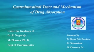 Presented by
K. Bhanu Sri Chandana
B. Chandrakala
M. Pharmacy 1st
Gastrointestinal Tract and Mechanism
of Drug Absorption
Under the Guidance of
Dr. R. Nagaraju
M. Pharma, Ph. D.
Dept of Pharmaceutics
 