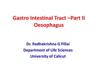 Gastro Intestinal Tract –Part II
Oesophagus
Dr. Radhakrishna G Pillai
Department of Life Sciences
University of Calicut
 
