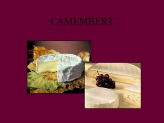 CAMEMBERT 