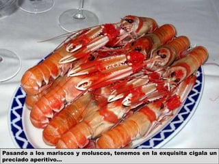 Pasando a los mariscos y moluscos, tenemos en la exquisita cigala un
preciado aperitivo...
 