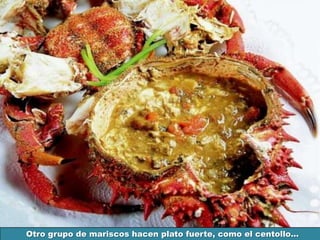 Otro grupo de mariscos hacen plato fuerte, como el centollo…
 