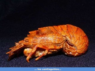 ... los santiaguiños...
 