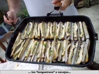 … los “longueirons” o navajas…
 