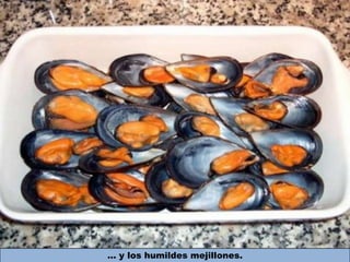 … y los humildes mejillones.
 