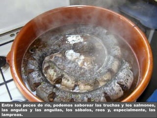 Entre los peces de río, podemos saborear las truchas y los salmones,
las angulas y las anguilas, los sábalos, reos y, especialmente, las
lampreas.
 