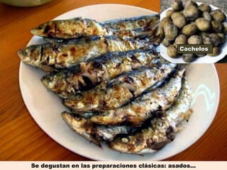 Cachelos




Se degustan en las preparaciones clásicas: asados...
 