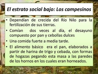 El estrato social bajo: Los campesinos
• Dependían de crecida del Río Nilo para la
  fertilización de sus tierras.
• Comían       dos veces al día, el desayuno
  compuesto por pan y cebollas dulces
• Una comida fuerte a media tarde.
• El alimento básico era el pan, elaborados a
  partir de harina de trigo y cebada, con formas
  de hogazas pegando esta masa a las paredes
  de los hornos en los cuales eran horneados.
 