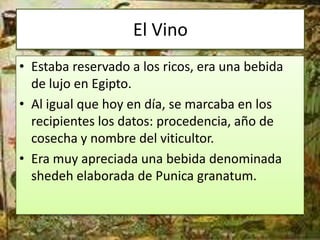 El Vino
• Estaba reservado a los ricos, era una bebida
  de lujo en Egipto.
• Al igual que hoy en día, se marcaba en los
  recipientes los datos: procedencia, año de
  cosecha y nombre del viticultor.
• Era muy apreciada una bebida denominada
  shedeh elaborada de Punica granatum.
 