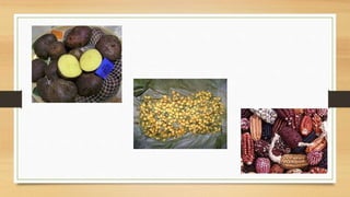 Gastronomía del perú