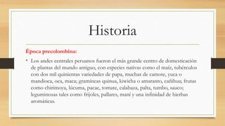 Historia
Época precolombina:
• Los andes centrales peruanos fueron el más grande centro de domesticación
de plantas del mundo antiguo, con especies nativas como el maíz, tubérculos
con dos mil quinientas variedades de papa, muchas de camote, yuca o
mandioca, oca, maca; gramíneas quinua, kiwicha o amaranto, cañihua; frutas
como chirimoya, lúcuma, pacae, tomate, calabaza, palta, tumbo, sauco;
leguminosas tales como frijoles, pallares, maní y una infinidad de hierbas
aromáticas.
 