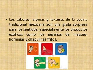 • Los sabores, aromas y texturas de la cocina
tradicional mexicana son una grata sorpresa
para los sentidos, especialmente los productos
exóticos como los gusanos de maguey,
hormigas y chapulines fritos.
 
