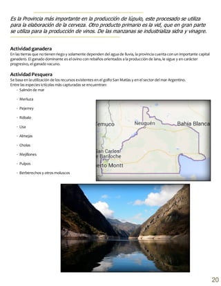Actividad ganadera
En las tierras que no tienen riego y solamente dependen del agua de lluvia, la provincia cuenta con un importante capital
ganadero. El ganado dominante es el ovino con rebaños orientados a la producción de lana, le sigue y en carácter
progresivo, el ganado vacuno.
Actividad Pesquera
Se basa en la utilización de los recursos existentes en el golfo San Matías y en el sector del mar Argentino.
Entre las especies ictícolas más capturadas se encuentran:
∙  Salmón de mar
∙  Merluza
∙  Pejerrey
∙  Róbalo
∙  Lisa
∙  Almejas
∙  Cholas
∙  Mejillones
∙  Pulpos
∙  Berberechos y otros moluscos
20
 