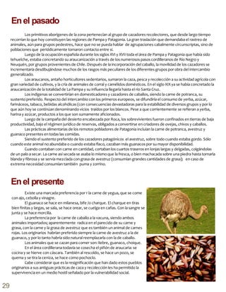 Los primitivos aborígenes de la zona pertenecían al grupo de cazadores recolectores, que desde largo tiempo
recorrían lo que hoy constituyen las regiones de Pampa y Patagonia. La gran traslación que demandaba el rastreo de
animales, aún para grupos pedestres, hace que no se pueda hablar de agrupaciones cabalmente circunscriptas, sino de
poblaciones que periódicamente tomaron contacto entre sí.
Luego de la ocupación española durante los siglos XVI y XVII toda el área de Pampa y Patagonia que había sido
tehuelche, estaba concretando su araucanización a través de los numerosos pasos cordilleranos de Río Negro y
Neuquén, por grupos provenientes de Chile. Después de la incorporación del caballo, la movilidad de los cazadores se
incrementaría desdibujándose muchos de los rasgos más peculiares de los diferentes grupos por obra del intercambio
generalizado.
Los araucanos, antaño horticultores sedentarios, sumaron la caza, pesca y recolección a su actividad agrícola con
gran variedad de cultivos, y la cría de animales de corral y camélidos domésticos. En el siglo XIX ya se había concretado la
araucanización de la totalidad de La Pampa y su influencia llegaría hasta el río Santa Cruz.
Los indígenas se convertirían en domesticadores y cazadores de caballos, siendo la carne de potranca, su
sustento preferido. Respecto del intercambio con los primeros europeos, se difundiría el consumo de yerba, azúcar,
farináceos, tabaco, bebidas alcohólicas (con consecuencias devastadoras para la estabilidad de diversos grupos y por lo
que aún hoy se continúan denominando vicios traídos por los blancos. Pese a que corrientemente se refieran a yerba,
harina y azúcar, productos a los que son sumamente aficionados.
Luego de la campaña del desierto encabezada por Roca, los sobrevivientes fueron confinados en tierras de baja
productividad, bajo el régimen jurídico de reservas, obligados a convertirse en criadores de ovejas, chivos y caballos.
Las prácticas alimentarias de los remotos pobladores de Patagonia incluían la carne de potranca, avestruz y
guanaco presentes en todas las comidas.
Siendo el sustento preferido de los cazadores patagónicos el avestruz, sobre todo cuando estaba gordo. Sólo
cuando este animal no abundaba o cuando estaba flaco, cazaban más guanacos por su mayor disponibilidad.
Cuando contaban con carne en cantidad, cortaban los cuartos traseros en lonjas largas y delgadas, colgándolas
de un palo a secar. La carne así secada se asaba lo mismo que la fresca, o bien machacada sobre una piedra hasta tornarla
blanda y fibrosa y se servía mezclada con grasa de avestruz (consumían grandes cantidades de grasa); en caso de
extrema necesidad consumían también puma y zorrino.
Enel pasado
Existe una marcada preferencia por r la carne de yegua, que se come
con ajo, cebolla y vinagre.
El guanaco se hace en milanesa, bife /o charque. El charque en tiras
bien finitas y largas, se sala, se hace orear, se cuelga en cañas. Con la sangre se
junta y se hace morcilla.
La preferencia por la carne de caballo a la vacuna, siendo ambos
animales importados; aparentemente radica en el parecido de su carne y
grasa, con la carne y la grasa de avestruz que es también un animal de carnes
rojas. Los originarios habrían preferido siempre la carne de avestruz a la de
guanaco, y por lo tanto habría sido natural reemplazarla con la de caballo.
Los animales que se cazan para comer son: liebre, guanaco, choique.
En el área cordillerana todavía se cosecha el piñón de araucaria: se
cocina y se hierve con cáscara. También al rescoldo, se hace un pozo, se
quema y se tira la ceniza, se hace como pochoclo.
Cabe considerar que es la resignificación que han dado estos pueblos
originarios a sus antiguas prácticas de caza y recolección les ha permitido la
supervivencia en un medio hostil señalado por la vulnerabilidad social.
Enel presente
29
 