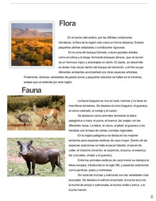 La fauna fueguina es rica en aves marinas y no tanto en
mamíferos terrestres. Se destaca el zorro fueguino, el guanaco,
el ciervo colorado, el conejo y el castor.
Se destacan como animales terrestres la liebre
patagónica o mara, el puma, el huemul, las ovejas con las
diferentes razas. La liebre, el ciervo, el jabalí, el guanaco y los
ñandúes son la base de ciertas comidas regionales.
En la región patagónica se destacan los mejores
territorios para especies exóticas de caza mayor. Dentro de las
especies autóctonas se halla el pecarí labiado, el pecarí de
collar, el chancho cimarrón, el carpincho, el puma, el avestruz,
las corzuelas, el tapir y el guanaco.
Entre los animales exóticos de caza menor se destaca la
liebre europea, introducida en el siglo XIX, y especies autóctonas
como perdices, patos y martinetas.
Sin duda las truchas y salmones son las variedades más
buscadas. Se destaca el salmón encerrado, la trucha arco iris,
la trucha de arroyo o salmonada, la trucha criolla o perca, y la
trucha marrón.
En el sector alto andino, por las difíciles condiciones
climáticas, la flora de la región solo crece en forma dispersa. Existen
pequeñas plantas adaptadas a condiciones rigurosas.
En la zona del bosque húmedo, crecen grandes árboles
como el coihue y la lenga, formando bosques densos, que se tornan
de un hermoso rojizo y anaranjado en otoño. El ciprés, se desarrolla
en áreas más secas dentro del bosque de transición, y el ñire ocupa
diferentes ambientes acompañado por otras especies arbóreas.
Finalmente, diversas variedades de pastos duros y pequeños arbustos se hallan en la inmensa
estepa que se extiende por esta región.
Fauna
Flora
6
 