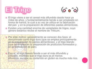 La QuinuaLa quinua, quínoa o kinwa (Chenopodium quínoa) es un pseudocereal perteneciente a la subfamilia Chenopodioideae de las amarantáceas. Es un cultivo que se produce en los Andes de Argentina, Bolivia, Chile, Colombia, Ecuador  y del Perú  además de los Estados Unidos, siendo Bolivia el primer productor mundial seguido del Perú y los Estados Unidos. Se le denomina pseudocereal porque no pertenece a la familia de las gramíneas en que están los cereales "tradicionales", pero debido a su alto contenido de almidón su uso es el de un cereal.Desde hace milenios, este pseudocereal fue utilizado también para usos cosméticos en la zona del altiplano peruano boliviano.Crece desde el nivel del mar en el Perú, hasta los 4000 msnm en los Andes, aunque su altura más común es a partir de los 2500 msnm.