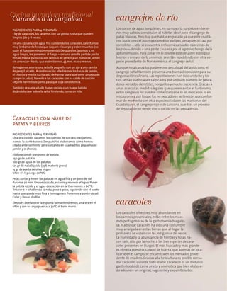 Caracoles con nube de
patata y berros
Los cursos de agua burgaleses, en su mayoría surgidos en terre-
nos muy calizos, constituían el hábitat ideal para el cangrejo de
patas blancas. Pero hay que hablar en pasado ya que este crustá-
ceo autóctono, el Austropotamobius pallipes, desapareció casi por
completo —sólo se encuentra en las más aisladas cabeceras de
los ríos— debido a una peste causada por el agresivo hongo de la
aphanomicosis. Para paliar en lo posible este desastre ecológico
los ríos y arroyos de la provincia se están repoblando con otra es-
pecie procedente de Norteamérica: el cangrejo señal.
Aunque no alcanza los parámetros de calidad del autóctono, el
cangrejo señal también presenta una buena disposición para su
degustación culinaria. Las repoblaciones han sido un éxito y los
ríos se han vuelto a ver salpicados por un buen número de pesca-
dores armados de reteles, horquillas y mucha paciencia. Gracias a
unas acertadas medidas legales que quieren evitar el furtivismo,
estos cangrejos no pueden comercializarse ni en mercados ni en
restaurantes, por lo que los no pescadores se tendrán que confor-
mar de momento con otra especie criada en las marismas del
Guadalquivir, el cangrejo rojo o de Luisiana, que tras un proceso
de depuración se vende vivo o cocido en las pescaderías.
cangrejos de río
Los caracoles silvestres, muy abundantes en
los campos provinciales, están entre los máxi-
mos protagonistas de la gastronomía burgale-
sa. Ir a buscar caracoles ha sido una costumbre
muy arraigada en estas tierras que al llegar la
primavera se visten con las mil gamas del verde.
La humedad y la abundancia de hierbas y hojas ha-
cen salir, sólo por la noche, a las tres especies de cara-
coles presentes en Burgos. El más buscado y más grande
es el Helix pomatia, caracol de huerta, que además de loca-
lizarse en el campo, se encuentra en los mercados proce-
dente de criadero. Gracias a la helicultura es posible consu-
mir caracoles durante todo el año. El caracol es un molusco
gasterópodo de carne prieta y aromática que bien elabora-
do adquiere un original, sugerente y exquisito sabor.
caracoles
Cocina burgalesa tradicional
Caracoles a la burgalesa
INGREDIENTES PARA 4 PERSONAS
1 kg de caracoles, los lavamos con sal gorda hasta que queden
limpios (de 5-8 veces).
En una cazuela, con agua fría cubriendo los caracoles, calentamos
muy lentamente hasta que saquen el cuerpo y estén muertos (no
subir el fuego en ningún momento). Después los lavamos y, en
agua limpia, les ponemos al fuego –con una cebolla partida por la
mitad, media guindilla, dos ramitas de perejil y un hueso de jamón
sin arranciar– hasta que estén tiernos, 45 min. más o menos.
Rehogamos aparte una cebolla pequeña con un ajo y una ramita
de perejil picado. A continuación añadiremos los tacos de jamón,
el chorizo y media cucharada de harina (para que tome un poco de
cuerpo la salsa). Ponerlo a los caracoles con su caldo de cocción.
Dejarlo hervir todo junto para que coja consistencia.
También se suele añadir huevo cocido o un huevo batido
dejándolo caer sobre la salsa hirviendo, como un hilo.
INGREDIENTES PARA 4 PERSONAS
Una vez cocidos sacamos los cuerpos de sus cáscaras y elimi-
namos la parte trasera. Después los elaboramos como hemos
citado anteriormente pero cortando en cuadraditos pequeños el
jamón y el chorizo.
Elaboración de la espuma de patata
250 gr de patatas
100 gr de agua de las patatas
125 gr de nata líquida (35% materia grasa)
15 gr de aceite de oliva vírgen
Sifón 1/2 l y carga de N2
O
Pelar, cortar y hervir las patatas en agua fría y un poco de sal
durante 20 min. Una vez cocida, escurrir y reservar el agua. Poner
la patata cocida y el agua de cocción en la thermomix a 60ºC.
Triturar e ir añadiendo la nata, poco a poco, siguiendo con el aceite
hasta que quede muy fina y homogénea. Ponemos a punto de sal.
Colar y llenar el sifón.
Después de elaborar la espuma la mantendremos, una vez en el
sifón y con la carga puesta, a 70ºC al baño maría.
 