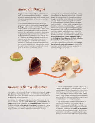 Burgos ha sido a lo largo de toda su historia una
tierra de pastores y rebaños de ovejas.Y también
de buenos quesos elaborados con la leche de esos
rumiantes que pastaban de sol a sol por sus cam-
pos y montes.
El más famoso de todos, quizá uno de los más
consumidos quesos españoles, es el queso fresco
de Burgos. Elaborado con leche de oveja y cuajo
animal —en la actualidad también se utiliza la de
vaca o la mezcla de ambas—, no es sometido a
procesos de maduración y, en algunos casos, se sa-
la ligeramente. Se presenta en piezas cilíndricas
de 15 centímetros de diámetro, unos siete de altu-
ra y alrededor de dos kilos de peso. Carece de cor-
teza y su pasta, que es brillante, presenta un in-
tenso color blanco y una blanda consistencia.
Mientras su sabor es suave, lechoso y algo dulzón,
con un punto salado, su olor es totalmente neutro.
Se puede consumir solo, en ensalada o formando
parte de atractivos y saludables postres.
Las ovejas churras pastoreadas en los altos, ralos y
fríos páramos de la provincia producían una leche
escasa, de alto contenido en grasa y muy aromati-
zada por las hierbas consumidas por los animales.
Con esta materia prima y el cuajo de los corderos
se elaboraban unos quesos de temporada, de for-
ma troncocónica y corteza lisa de color amarillento.
Su interior tenía esa misma tonalidad y un sabor
intenso con retrogusto ligeramente picante y sala-
do. En nuestros días es muy difícil encontrar estos
codiciados tesoros gastronómicos, por lo que hay
que conformarse, lo que no es poco, con los quesos
de oveja elaborados artesanalmente —dentro de la
Marca de Garantía de Quesos Región del Duero—
en Sotillo de la Ribera, Guzmán, Briviesca, Villasilos,
Sasamón, Espinosa de los Monteros, etc.
Otros destacables productos lácteos son las cuaja-
das de leche de oveja de Briviesca y la mantequilla
elaborada con la leche de las vacas que pastan en
los Valles Pasiegos burgaleses.
queso de Burgos
Los nogales más famosos de Burgos son los de la comarca de Sedano
y Las Loras. La mayoría pertenecen a las variedades San Juan y Paca-
na, produciendo unas resistentes nueces con semillas carnosas, ricas
en aceite y de perfumado sabor.
Las variadas tierras burgalesas producen otros frutos secos de inte-
rés: las silvestres avellanas de Las Merindades y los Desfiladeros del
Ebro y las cultivadas almendras de la Ribera del Duero. Arándanos y
fresas silvestres de la Sierra de la Demanda, y endrinas, serbas, zarza-
moras y madroños son otros frutos silvestres fáciles de recolectar y
muy utilizados para elaborar mermeladas o macerar en orujo.
nueces y frutos silvestres La miel de Burgos está a la espera de la Marca de
Garantía que certifique su extraordinaria calidad. La
variada vegetación distribuida por los distintos eco-
sistemas provinciales propicia la obtención de mar-
cados tipos de miel: monoflorales de brezo, roble o
encina y multiflorales con tomillo, romero, espliego
o cantueso.Todo depende de los pólenes y néctares
recolectados por las infatigables abejas.
La miel producida por estos sociables insectos hi-
menópteros —viven en colmenas de más de
40.000 individuos gobernadas por una sola reina—
tiene notables valores nutritivos y medicinales. En
la provincia, sobre todo en la Sierra de la Demanda,
existen varias empresas dedicadas a la comerciali-
zación de la miel natural cruda o biológica, lo que
favorece la conservación de todas sus propiedades.
miel
 
