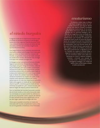 el viñedo burgalés
Si alguien duda de la importancia histórica que
el viñedo ha tenido en la provincia de Burgos,
basta con mirar algunas manifestaciones histó-
ricas, como el mosaico romano de Baños de Val-
dearados o el friso de la ermita visigótica de
Quintanilla de las Viñas.
Una larga historia no es sinónimo necesario de
una buena calidad, pero Burgos tiene todo para
que sus vinos se sitúen entre los mejores del
mundo. Los grandes vinos se han dado siempre
en condiciones límites. Allí donde más se exige
a la cepa más calidad consigue dar.
En Burgos se dan una serie de factores climato-
lógicos casi extremos.Temperaturas medias
muy bajas, con gran riesgo de heladas, sobre to-
do primaverales, pero que pueden presentarse
incluso en el mes de junio. Importante contras-
te térmico entre el día y la noche, sobre todo en
la época de maduración de la uva, lo que consti-
tuye un factor de calidad importante, favore-
ciendo el mantener los niveles de acidez. Si to-
mamos como ejemplo la Ribera del Duero,
vemos que en un mes tan importante para el vi-
ñedo como agosto la media de las máximas se
situó en 40,6ºC, mientras que la media de las
mínimas se quedó en 1,4ºC. Lluvias escasas, con
épocas largas de sequía y pocas horas de sol.
Pero la habilidad del hombre buscando varieda-
des de brote tardío y ciclo corto, buscando lade-
ras orientadas al sur para recibir los últimos ra-
yos de sol y buscando suelos capaces de retener
el calor durante horas para regalárselo a la ce-
pa, dan lugar cada año al milagro del vino.
Vinos que se pueden encontrar en todos los
mercados del mundo compitiendo mano a ma-
no con los grandes e históricos vinos franceses.
El Arlanza y, sobre todo, la Ribera
del Duero burgalesa tienen los sufi-
cientes atractivos para figurar dentro
de los más selectos listados mundiales
de comarcas enoturísticas. En la consa-
grada Ribera del Duero, además de visitas
guiadas por sus distintas bodegas y de la
cata de sus magníficos vinos, se puede reco-
rrer parte de la red de bodegas medievales
subterráneas que horadan el subsuelo de
Aranda de Duero,acudir al Centro de Interpre-
tación de la Arquitectura del Vino (CIAVIN) de
la misma localidad o practicar senderismo por
las señalizadas rutas que forman parte de la
Ruta del Vino-Afluente Rural y que parten de
Roa, Anguix, Sotillo de la Ribera, Gumiel de
Mercado,Gumiel de Izán,La Aguilera y La Ho-
rra. También los viajeros se podrán alojar y
degustar la exquisita gastronomía de la zo-
na, con el lechazo asado como plato fun-
damental, en varios y selectos estableci-
mientos —incluida una posada de
turismo rural— emplazados junto a
prestigiosas bodegas y en medio de
bellos y bien conformados viñedos
en plena producción.
enoturismo
 