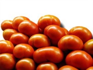 Gastronomia De Aragon