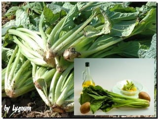 Gastronomia De Aragon