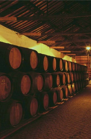 Gastronomia e vinhos